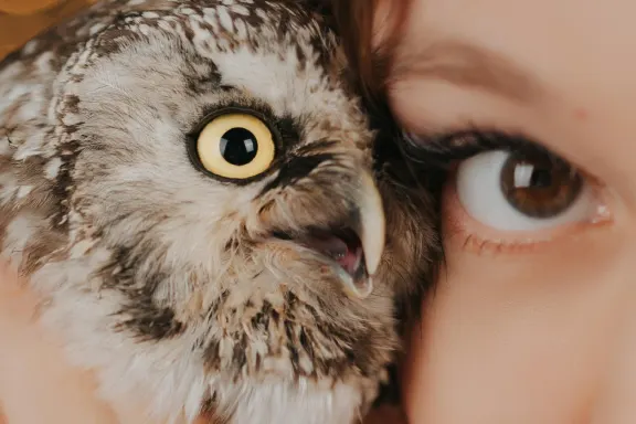 Kaszinó AllStar Slots Támogatás